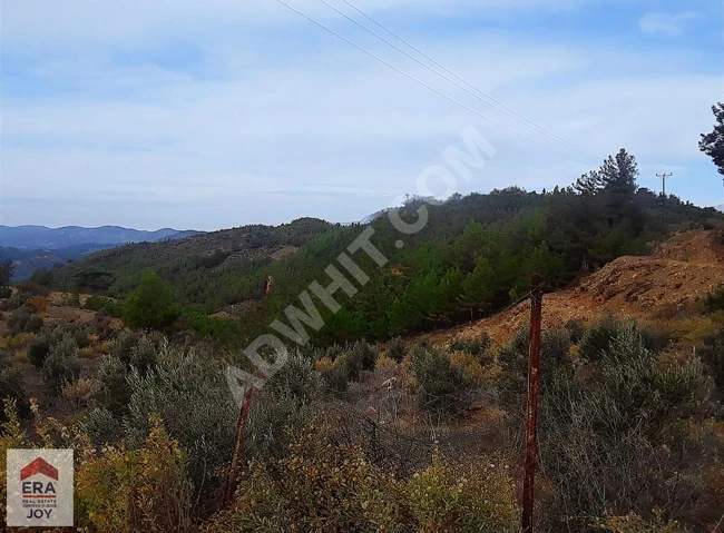 GAZİPAŞA ILICA KÖYÜ YERLEŞİM ALANI İÇİNDE 140m. ANAYOLA CEPHELİ