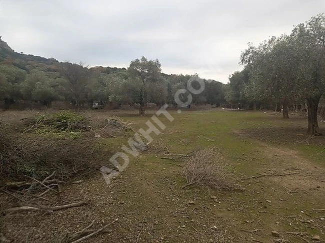 DEĞERİNİ 2 YE KATLAYACAK 3LÜ PAKET ARAZİ SATIŞI ACİLİYETTEN!!!