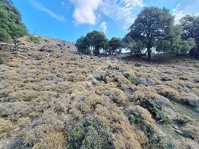 GÖKÇEADA ACİL YATIRIMLIK 6 DÖNÜM ARAZİ GELECEĞİNİZE YATIRIM!!!