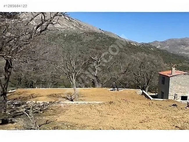 YEŞİLLİKLER İÇİNDE 800 MT2 ARSASI BULUNAN SATILIK TAŞ EV ACİL!