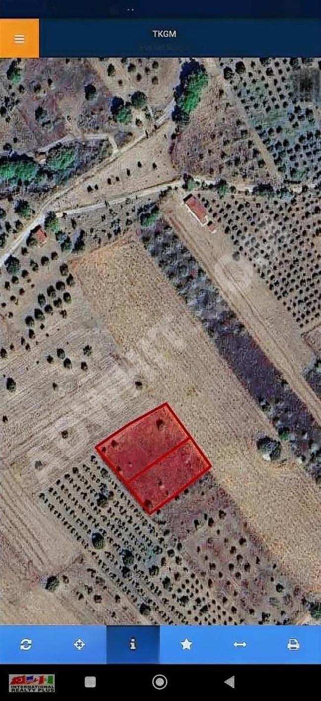 BİLECİK GÖLPAZARINDA SATILIK TARLALAR