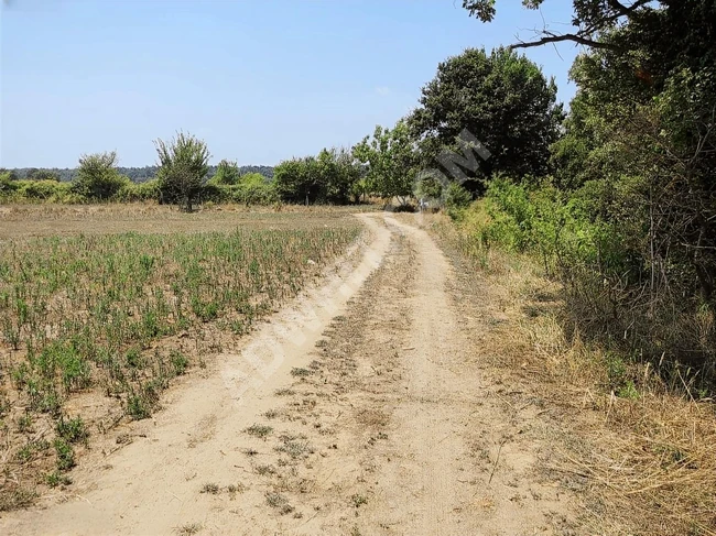 ATAK GAYRİMENKUL'DEN ÇATALCA KARAMANDERE'DE YATIRIMLIK TARLA !!!