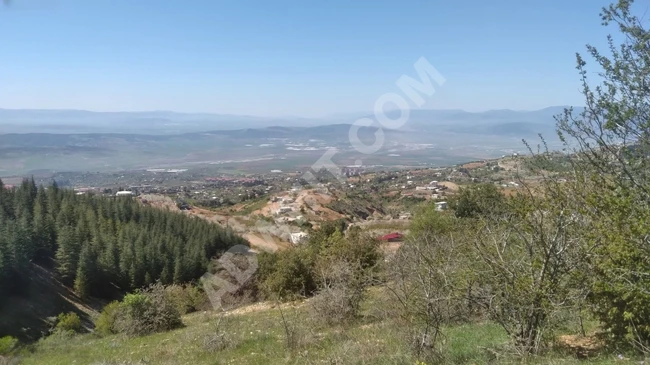 MARAŞ EMLAKTAN GAFARLI DA SATILIK TEK TAPU 1843 METRE KARE BAĞ