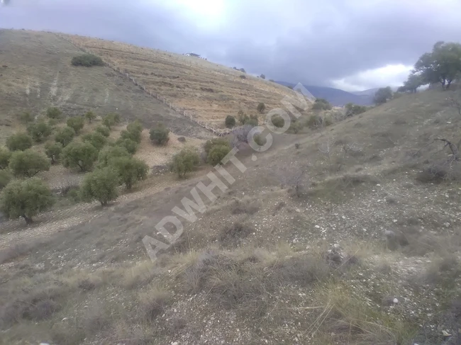 MARAŞ EMLAKTAN AĞYAR TOKİ ÜSTÜNDE SATILIK 16.362 M2 BAĞ YERİ