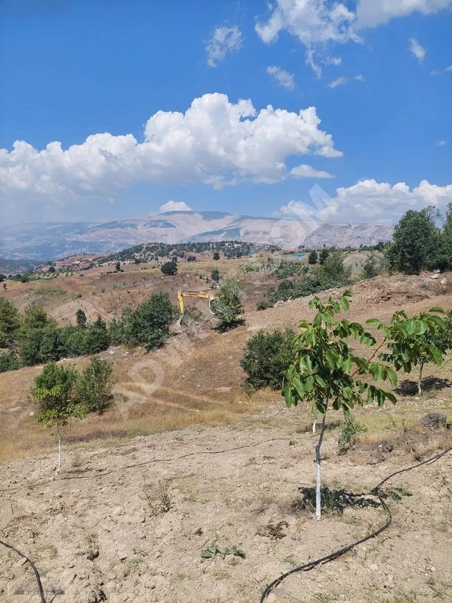 MARAŞ EMLAKTAN KUZUCAK MAH. SATILIK 9 DÖNÜM ARAZİ