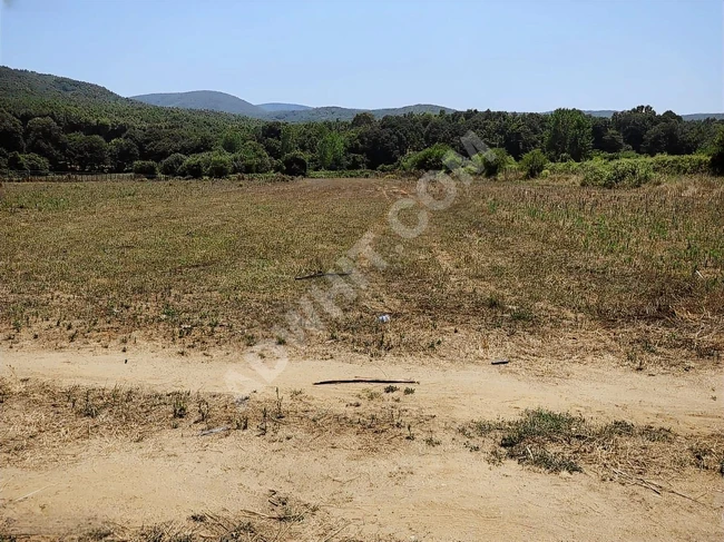 ATAK GAYRİMENKUL'DEN ÇATALCA KARAMANDERE'DE YATIRIMLIK TARLA !!!