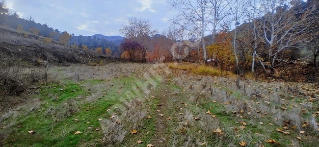 MARAŞ EMLAKTAN ILICA YOLU ÜZERİ SATILIK 5623 M2 BAĞ VE BAĞEVİ