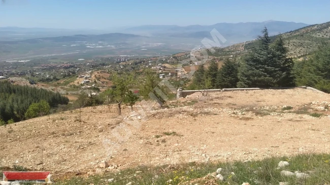 MARAŞ EMLAKTAN GAFARLI DA SATILIK TEK TAPU 1843 METRE KARE BAĞ