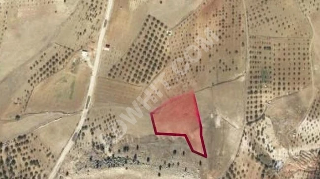 MARAŞ EMLAKTAN ÇAĞLAYANCERİT DE SATILIK 9371 M2 TEK TAPU TARLA