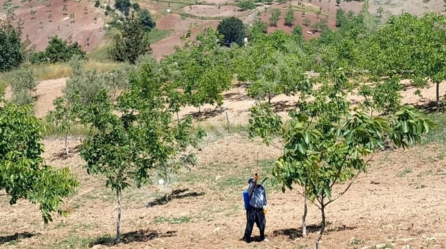 MARAŞ EMLAKTAN KUZUCAK MAH. SATILIK 9 DÖNÜM ARAZİ