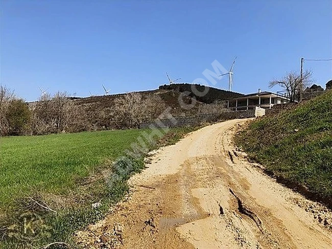 قطعة أرض للإيجار على الشارع الرئيسي، بها كهرباء وماء متصلان.