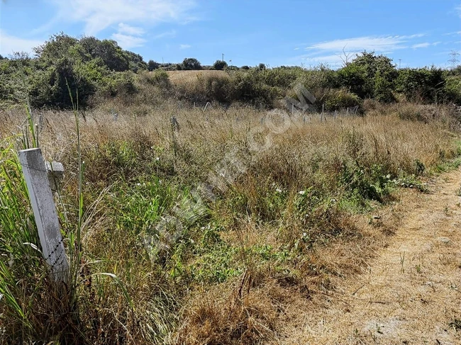 عاجل !!! للبيع أرض بمساحة 250 متر مربع بسعر مناسب في ÇATALCA DAĞYENİCE