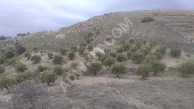 MARAŞ EMLAKTAN AĞYAR TOKİ ÜSTÜNDE SATILIK 16.362 M2 BAĞ YERİ