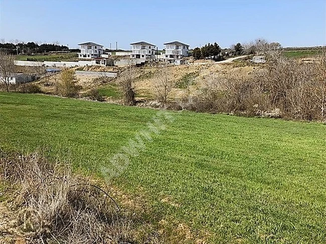 قطعة أرض للإيجار على الشارع الرئيسي، بها كهرباء وماء متصلان.