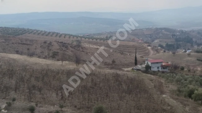 MARAŞ EMLAKTAN AĞYAR TOKİ ÜSTÜNDE SATILIK 16.362 M2 BAĞ YERİ