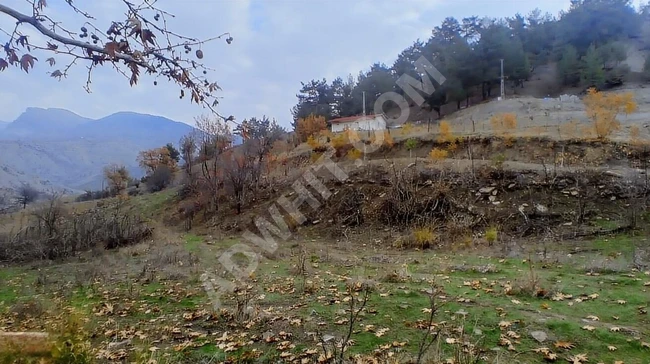 MARAŞ EMLAKTAN ILICA YOLU ÜZERİ SATILIK 5623 M2 BAĞ VE BAĞEVİ