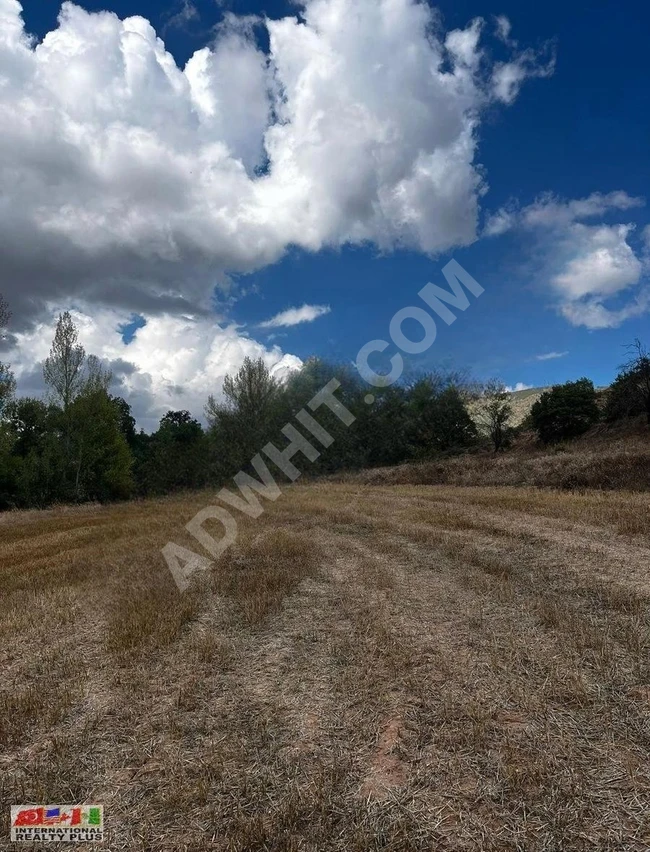 BİLECİK DE YATIRIMLIK ARSALAR