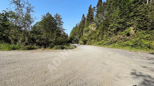 KASTAMONU İNEBOLU ÇİÇEKYAZI'DA KÖY İÇİNDE 620 M2 UYGUN ARSA