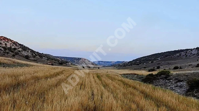 ESKİŞEHİR ALPU BUĞDÜZ'DE 24.390 M2 UYGUN ARSA