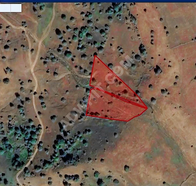 ARTVİN ARDANUÇ BULANIK LORİ YAYLASINDA SATILIK UYGUN ARSALAR