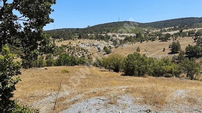 KÜTAHYA TAVŞANLI ANA YOLA CEPHE 6.466M2 UYGUN ARSA