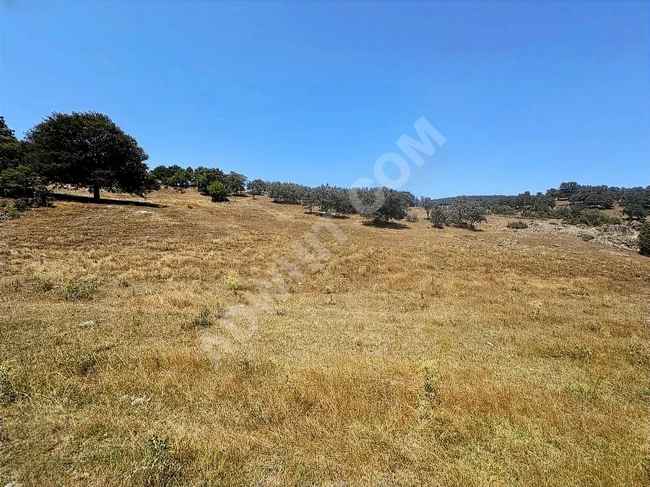 KÜTAHYA TAVŞANLI ANA YOLA CEPHE 6.466M2 UYGUN ARSA