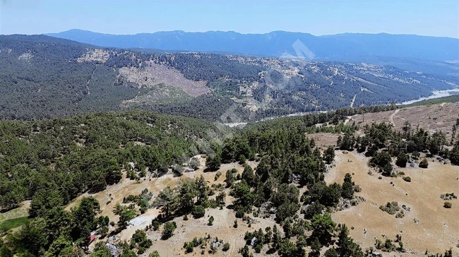 ANTALYA KAŞ YAYLAPALAMUT' DA 3.888 M2 UYGUN ARSA