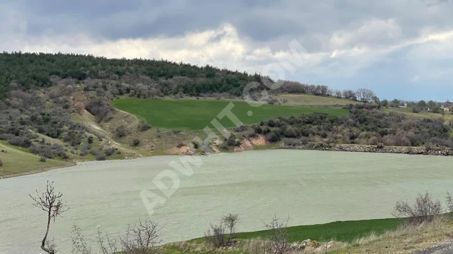 EDİRNE ENEZ ÇERİBAŞIN'DA 4.500 M2 UYGUN ARSA