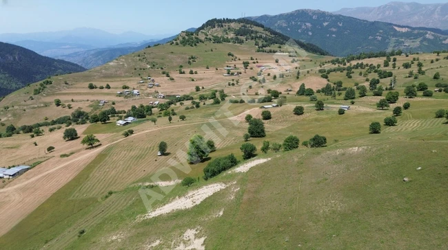 ARTVİN ARDANUÇ BULANIK LORİ YAYLASINDA SATILIK UYGUN ARSALAR