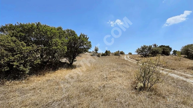 BOLU KIBRISCIK SARIKAYA'DA 8.370 M2 UYGUN ARSA