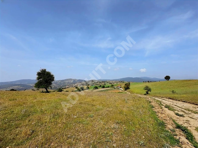 BURSA BÜYÜKORHAN KINIK'TA 4.540 M2 UYGUN ARSA