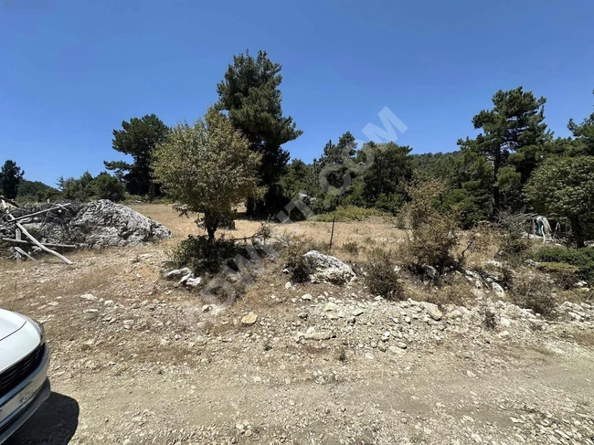ANTALYA KAŞ YAYLAPALAMUT' DA 3.888 M2 UYGUN ARSA