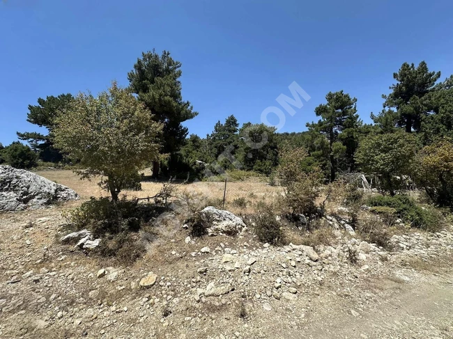 ANTALYA KAŞ YAYLAPALAMUT' DA 3.888 M2 UYGUN ARSA