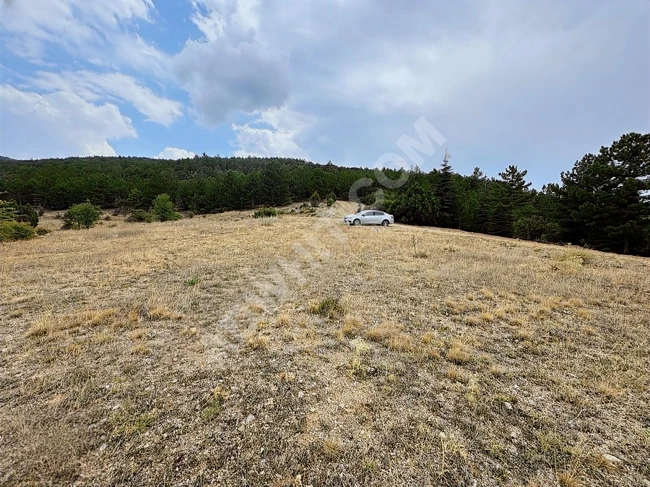 BURDUR MERKEZ GÖKÇEBAĞ'DA 8.401 M2 UYGUN ARSA