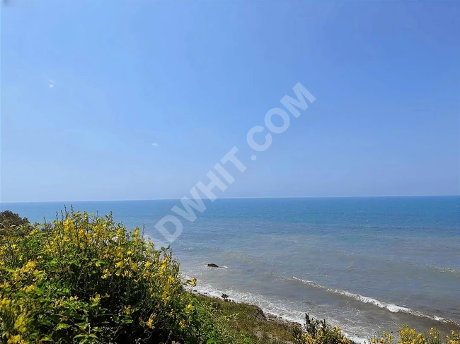 KASTAMONU CİDE'DE KÖY İÇİNDE DENİZ MANZALARI FINDIK BAHÇESİ