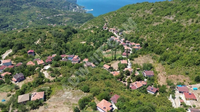 KASTAMONU CİDE'DE KÖY İÇİNDE DENİZ MANZALARI FINDIK BAHÇESİ