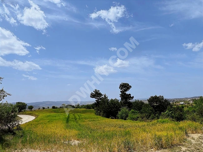 BOLU GÖYNÜK'TE KÖYÜN GİRİNŞİNDE 10.436 M2 UYGUN ARSA