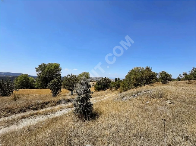 BOLU KIBRISCIK SARIKAYA'DA 8.370 M2 UYGUN ARSA