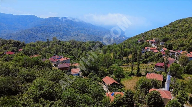 KASTAMONU CİDE'DE KÖY İÇİNDE DENİZ MANZALARI FINDIK BAHÇESİ