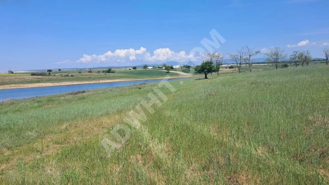 Satlık Tarla Pınarhisar tozaklı'da 4.766.m2