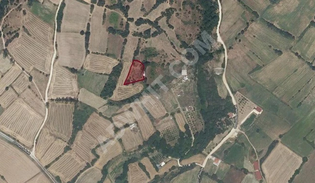 Kozan Gayrimenkul'den Kırklareli Vize,Sergen köyü 1.846.84 m2