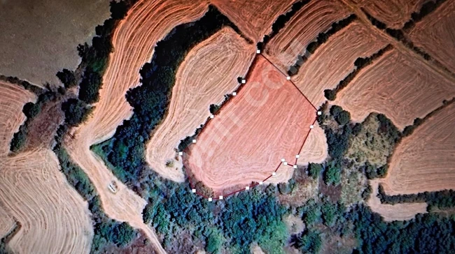 Kozan Gayrimenkul'den satlık Malkara'da 4.428.45 m2