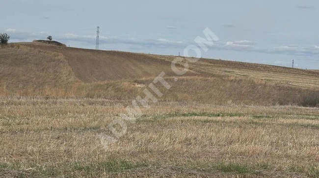 Edirne tayakadın 20 dönüm arazi