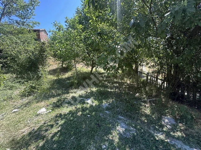 BOLU GÖYNÜK BULANIK'DA KÖY İÇİNDE 975 M2 UYGUN ARSA