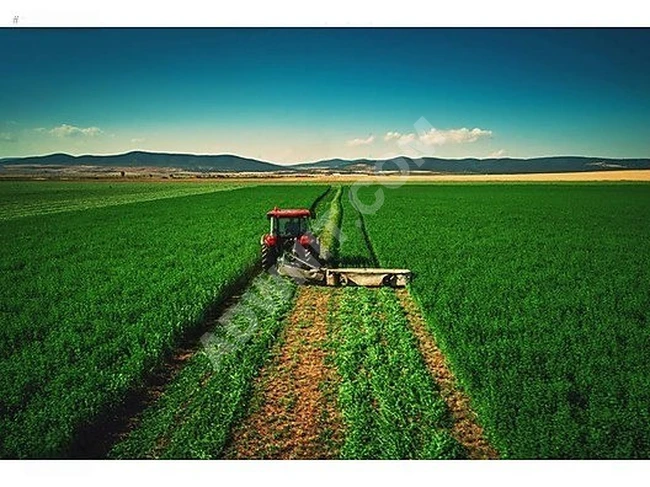 DİKKAT! Edirne'de Çaplı&Muvafakatnameli 231m² Arsalar, BURDA!