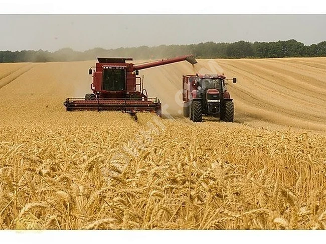 İlçe Merkezine 15dk. Mesafe, Çaplı 1.327m² Özel Parsel Son 2adet