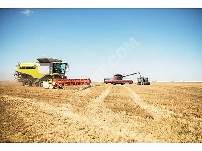 EDİRNE KARAPINAR 373 m2 ARAZİ ALANA 64 m2 HEDİYE