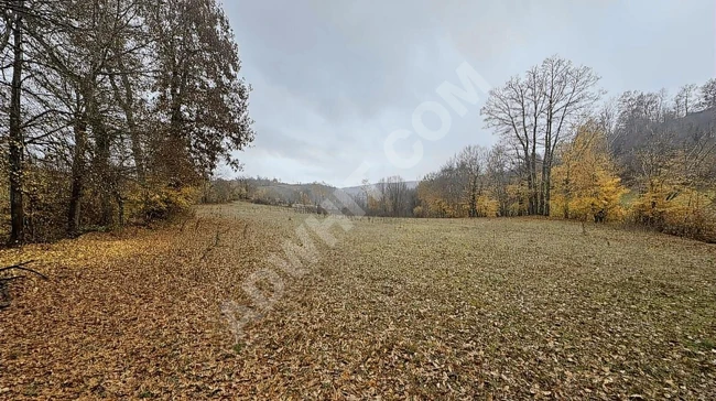 SAMSUN KAVAK ORTAKÖY'DE4.903M2 UYGUN ARSA