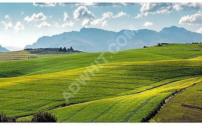 Köy Merkezine Yürüme Mesafesinde ! Fırsat Satılık 258m² Arazi