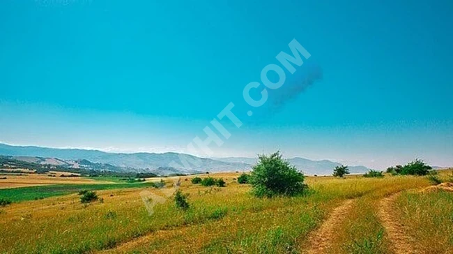 Köy Merkezine Yürüme Mesafesinde ! Fırsat Satılık 258m² Arazi